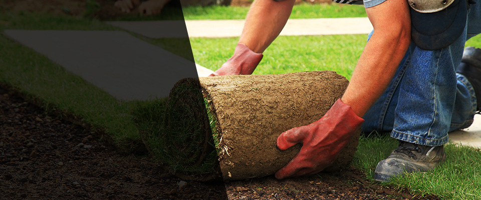 Elizabethtown Landscapers